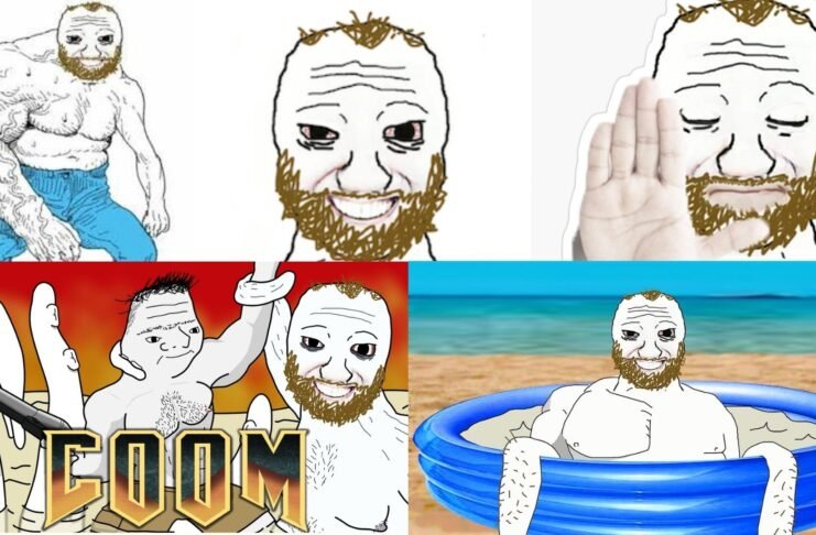 Coomer App Guide: Features, Setup, and Easy User Tips