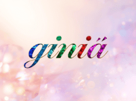 Giniä Guide: Meaning, Rise, and Impact on Modern Lifestyle